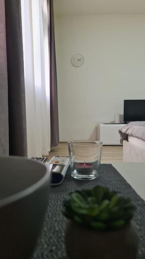 Apartman Pavlovic Leskovac  Kültér fotó